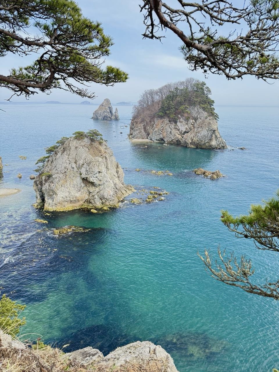 IMAGE 2025-09-07 165122.jpg